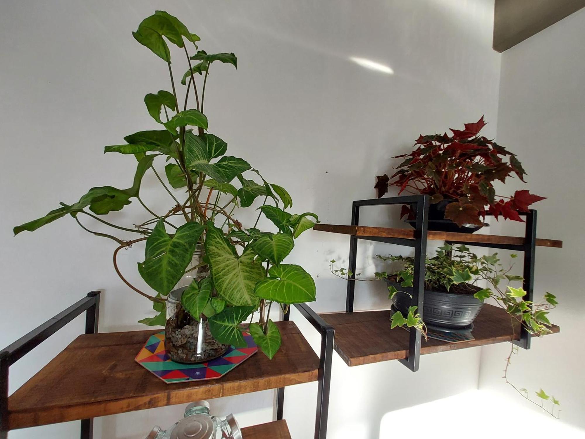 Proximo Dos Melhores Hoteis Do Centro, 2 Quartos, Portaria 24H Florianópolis 外观 照片